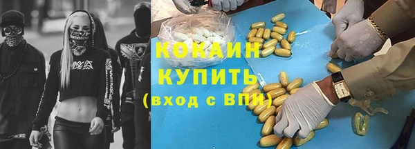 индика Саяногорск