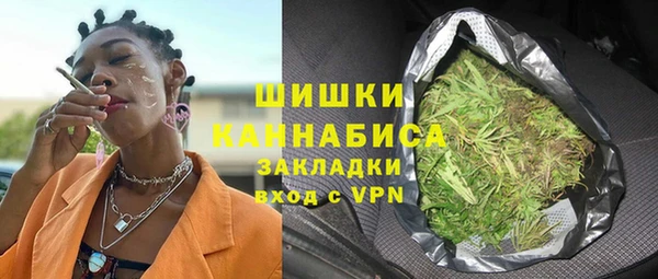 гидра Алексин