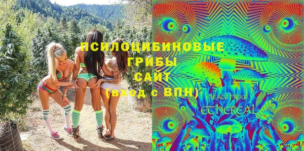 трава Абаза