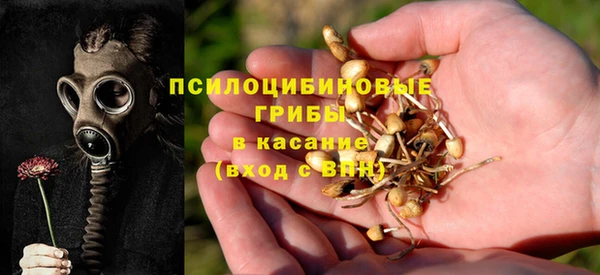 скорость Сафоново