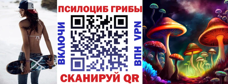 Псилоцибиновые грибы Psilocybe  закладки  Вилюйск 